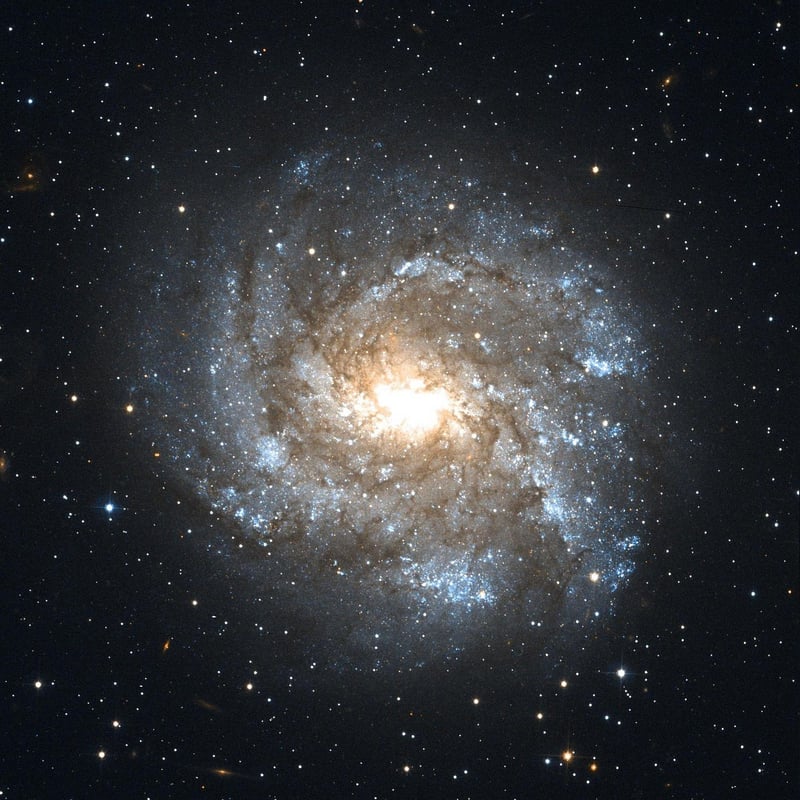 Galaxy-Inspired Tablescapes